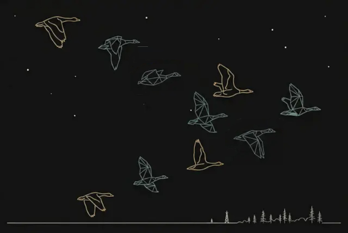 Canada geese flying in V formation